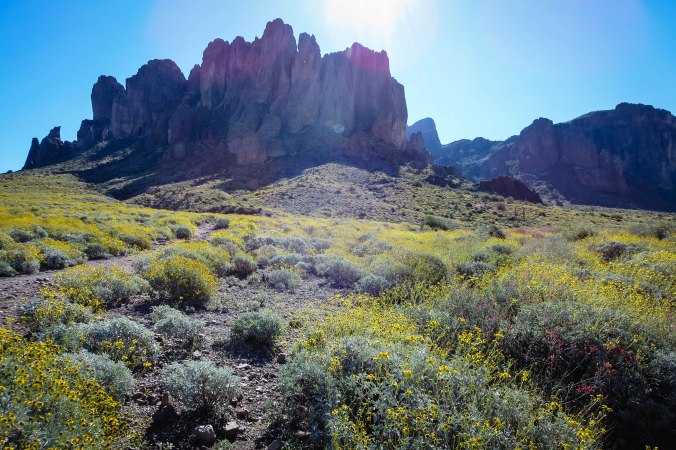 Superstition Mountains in the spring is one of the loveliest places ever. 