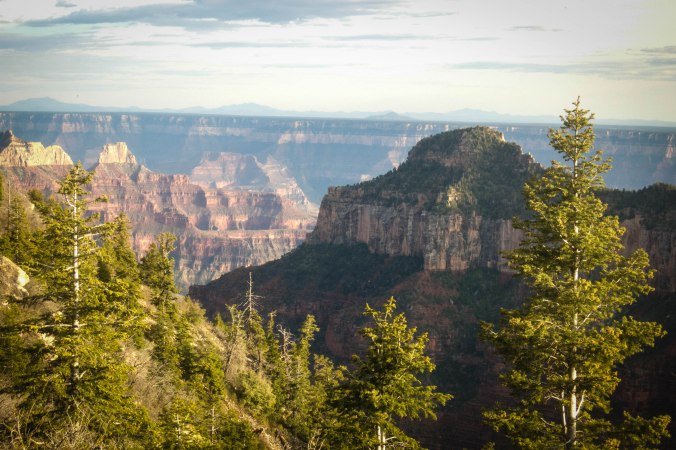 The North Rim is so much different than the South!